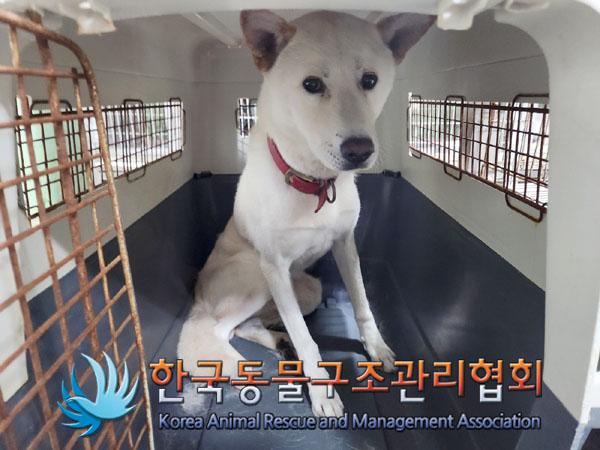 한국동물구조관리협회_411311202300846